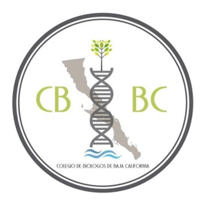 cbbc.org.mx